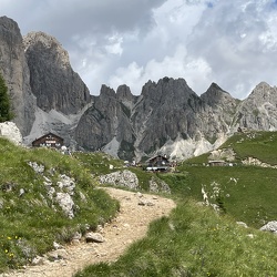 Jenesien